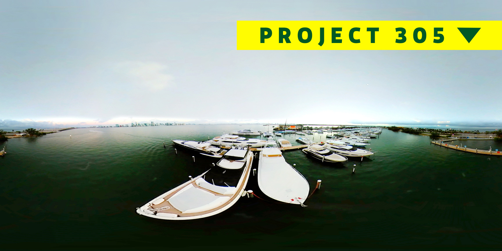 Project 305 VR Example