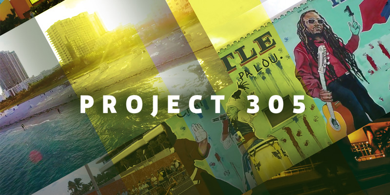 Project 305