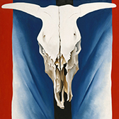 Ghost Ranch - Bull skull