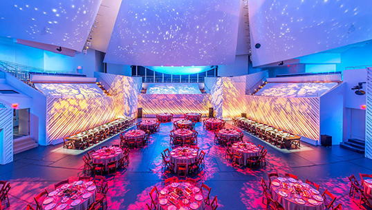 New World Center: Endless Possibilities