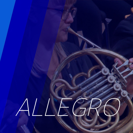 ALLEGRO PACKAGE