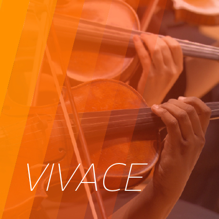 VIVACE PACKAGE